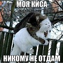 ���� ���������, ������ - ��������� 8 ������� 2020 � ������ ���������