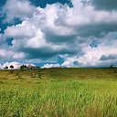 ���� ��������, ��������, 47 ��� - ��������� 24 ��� 2020 � ������ ������ ��������
