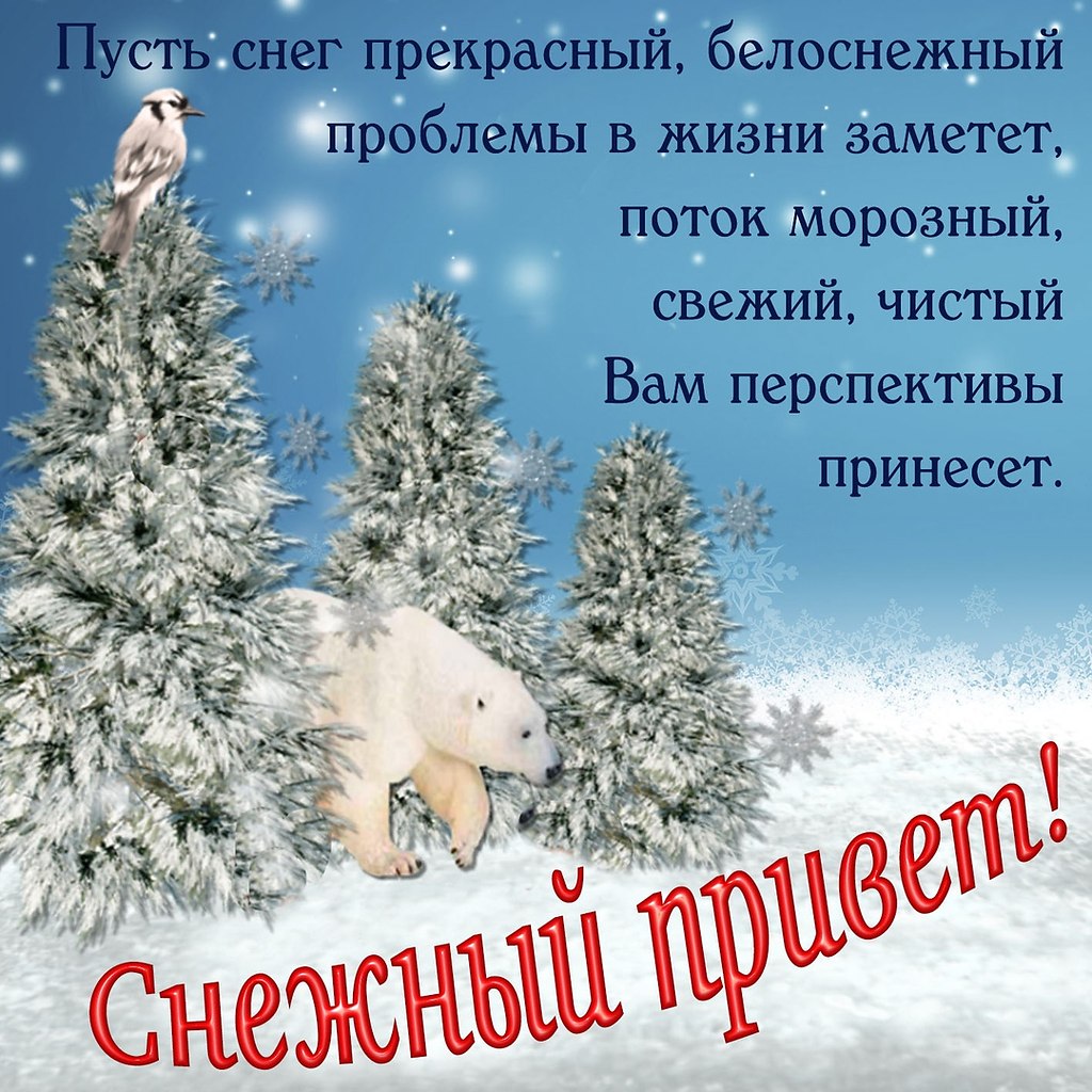 ПРИВЕТСТВИЯ и ПОЖЕЛАНИЯ, открытки на каждый день. опубликовал пост от 8  января 2020 в 20:19 | Фотострана | Пост №2086650885