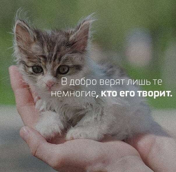    - 11  2020  19:09