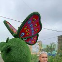 ���� ������, ������, 44 ���� - ��������� 17 ���� 2020 � ������ ���� ����������