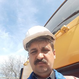 ���������, ������, 50 ���