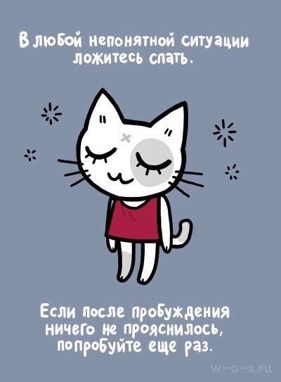   ,     : - 2