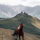 ���� Mamuka, �������, 57 ��� - ��������� 1 ������� 2020 � ������ ������ ��������