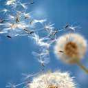 ���� ������, ������ ��������, 38 ��� - ��������� 9 ������ 2020 � ������ ���� ����������