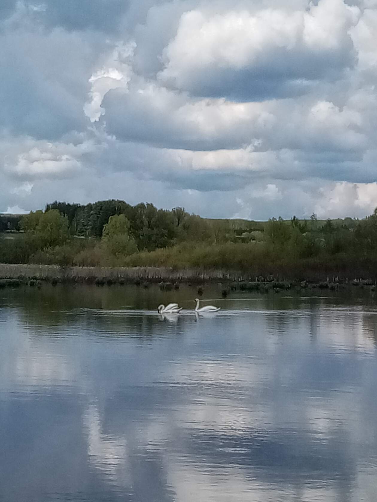  - 17  2020  21:06 - 5