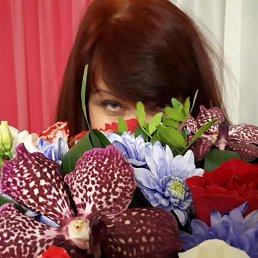 �����, ������������