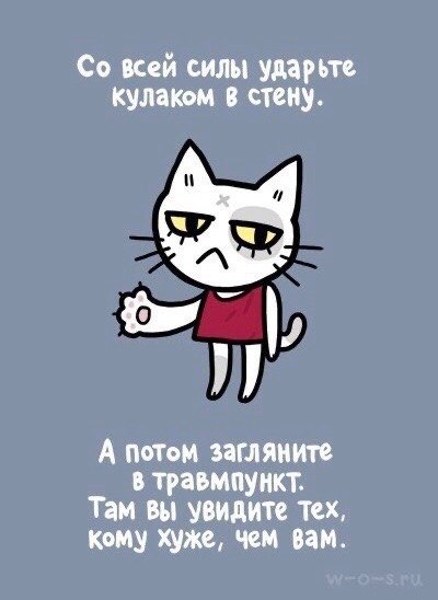   ,     : - 7