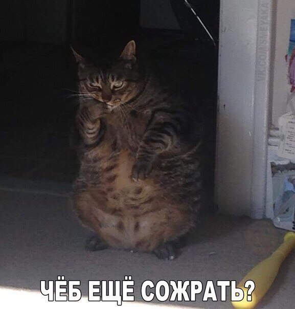    - 23  2020  19:06