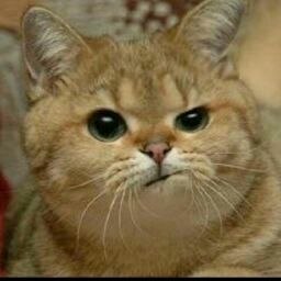 ���� Vlad, ������ ��������, 48 ��� - ��������� 25 ������� 2020