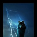 ���� Volk, �����, 43 ���� - ��������� 20 ��� 2020