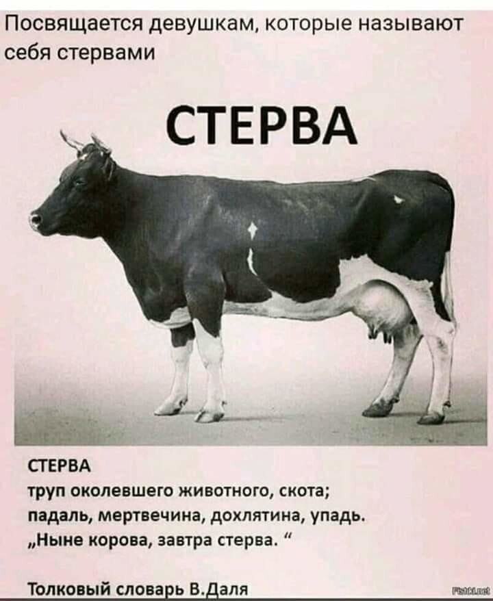  - 6  2020  01:23