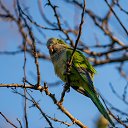 ���� ������, ������ - ��������� 3 ������ 2020 � ������ ����������