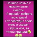  , --, 55  -  11  2020