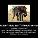  , , 57  -  3  2020    