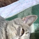 ���� � ��������� �� ������� ������