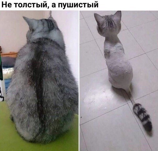    - 1  2020  18:48