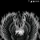  , , 38  -  5  2020