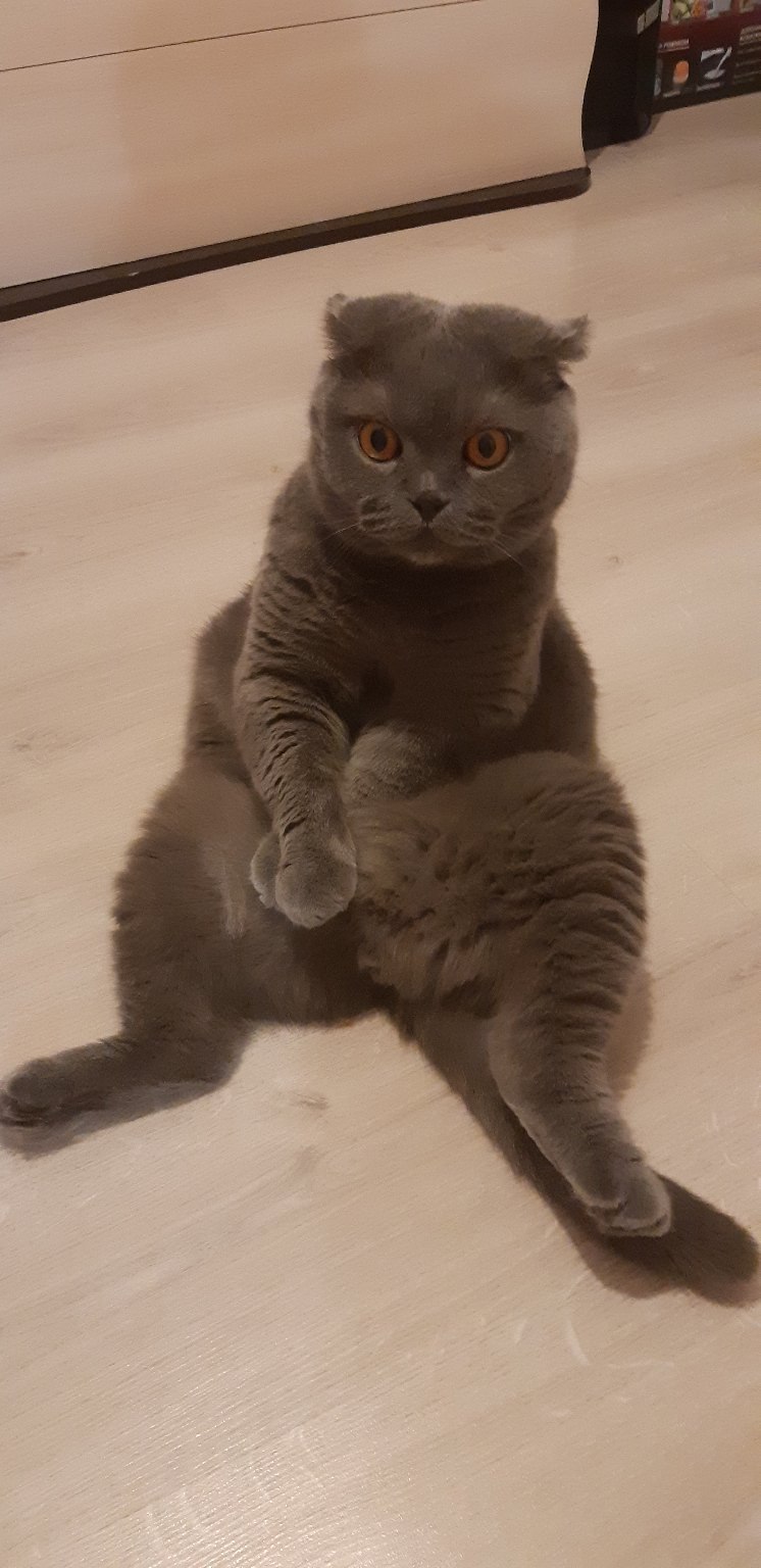     ,     - 2