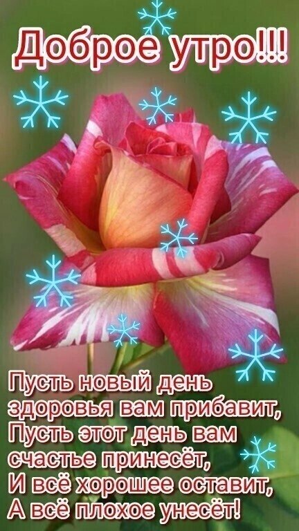   ,    . - 7  2020  23:31