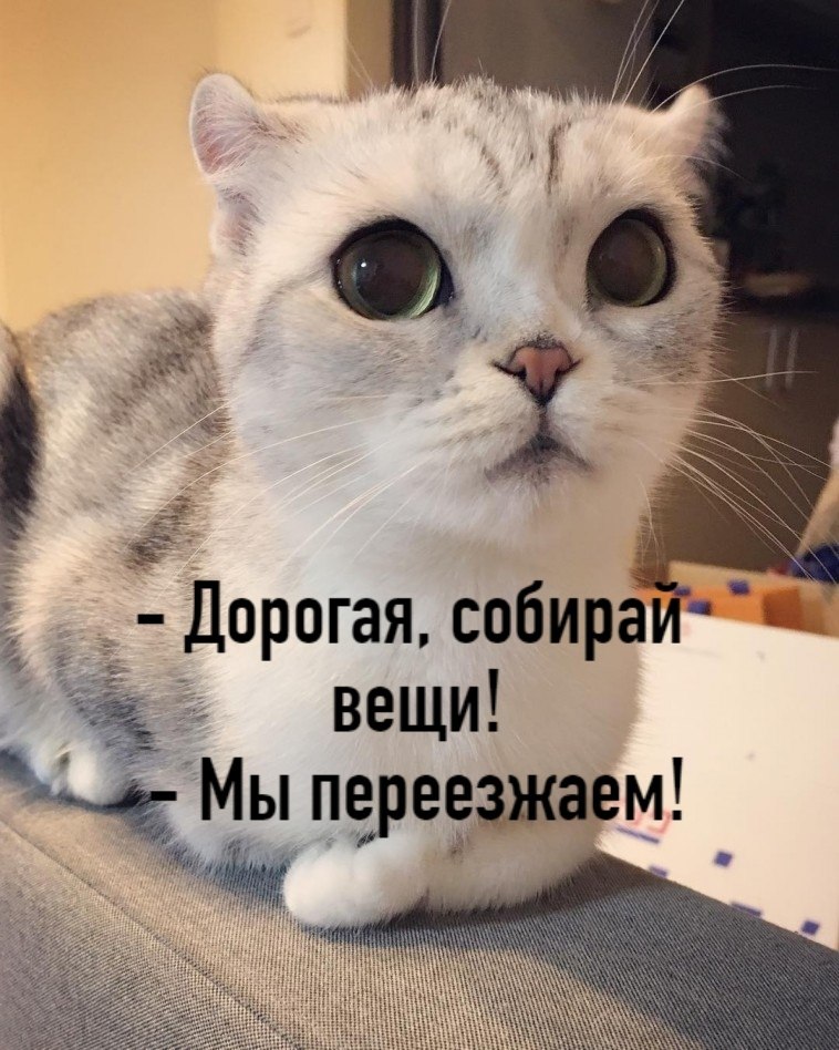       - 29  2020  19:09