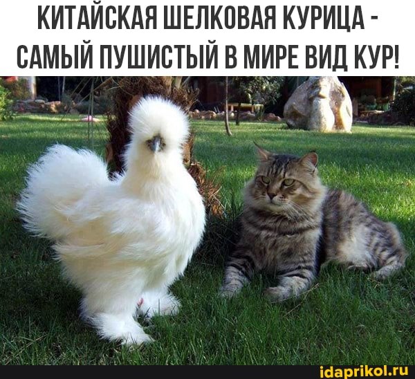 :)