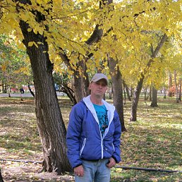 �����, ��������, 51 ���