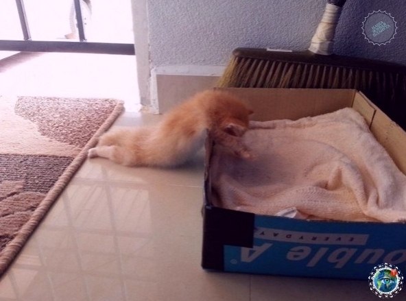   : e  - a  , e   e ! - 5