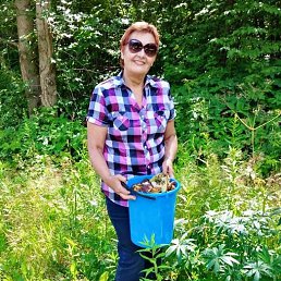 ���� �������, �����-���������, 72 ���� - ��������� 27 ���� 2020