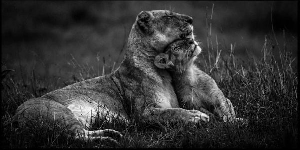  Laurent Baheux - 3