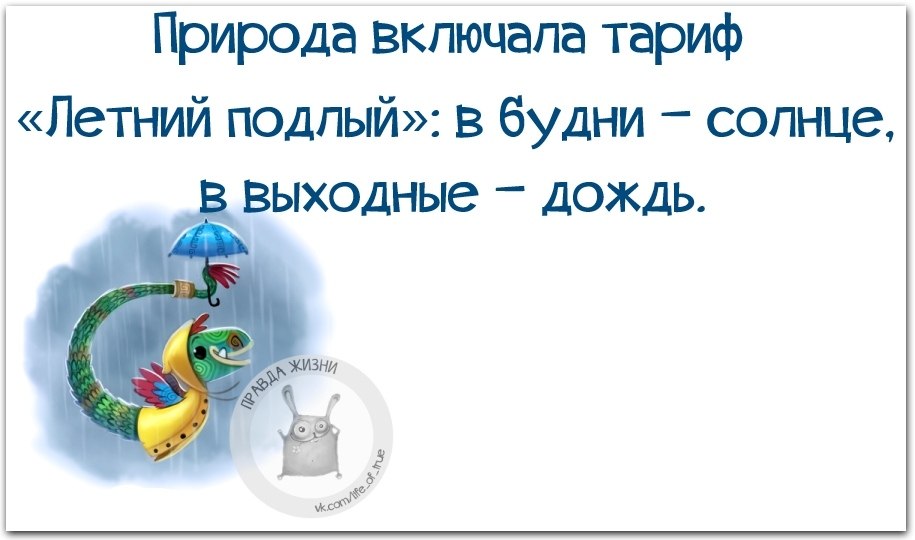 Что значит будни. Как выходной так дождь. Дождливые выходные приколы. Дождь в выходной. Высказывания о дождливых выходных.