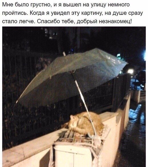    . - 5