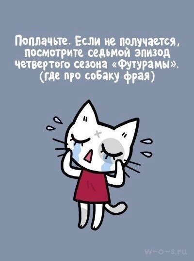   ,     : - 8
