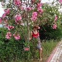 ���� �����, ��������� - ��������� 12 ������� 2020