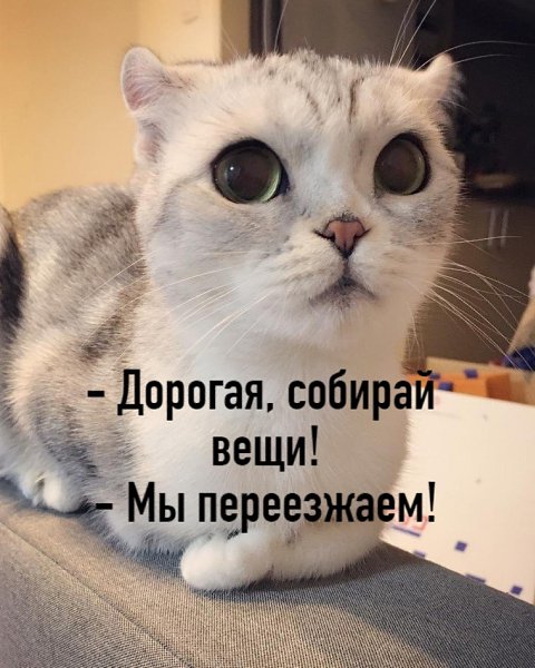       - 29  2020  19:09