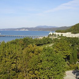 �������, ������-���, 49 ���