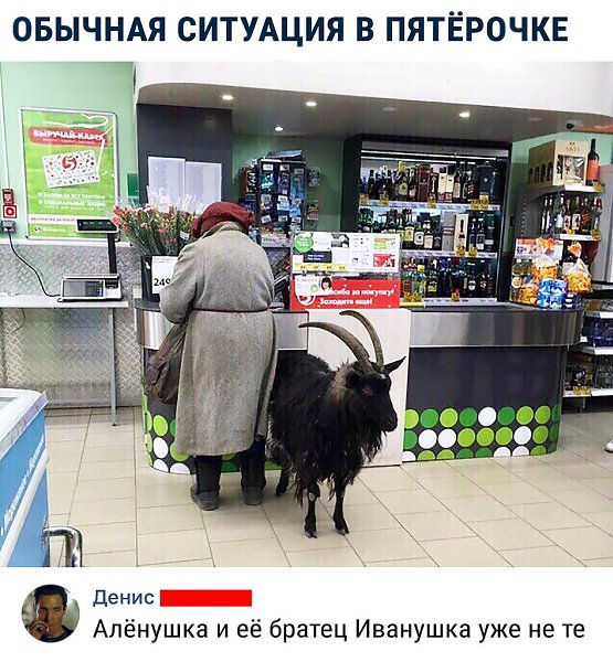 Правильно на двери же перечёркнуто только собака, значит с козой можно