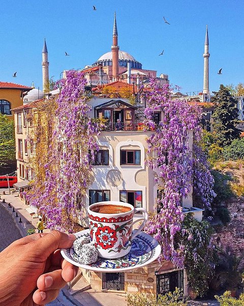 ���������� ����������� �������� ������� - 6