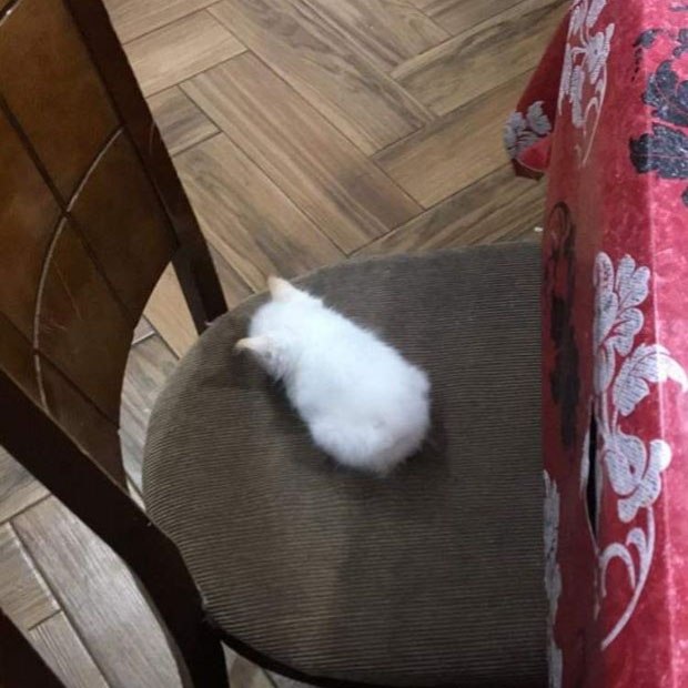    - 3