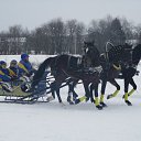 ���� ������, ������� - ��������� 29 ������� 2020 � ������ ����������� ���� ���� ������� � ��������