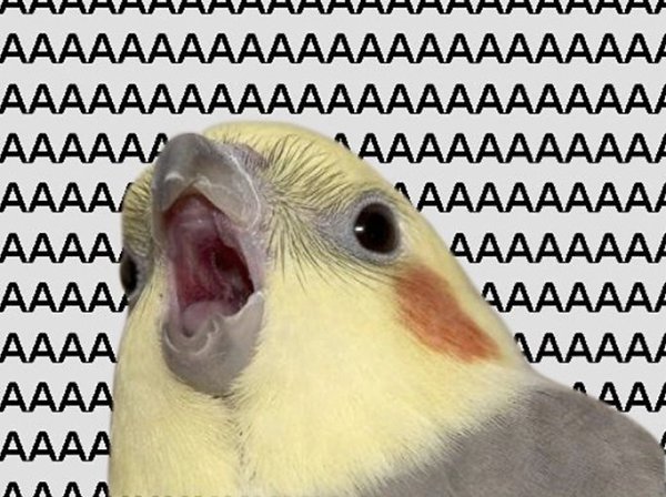  **.   :