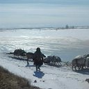 ���� ���������, ����� ������� - ��������� 20 ���� 2020 � ������ ���� ����������