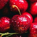 ���� ����, ���������, 47 ��� - ��������� 29 ���� 2020 � ������ ���� ����������