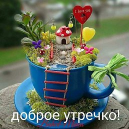 ���� �������, �������, 62 ���� - ��������� 2 ������� 2020