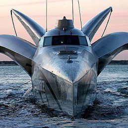 Vasya, , 43 