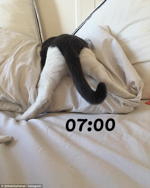 12      - 8