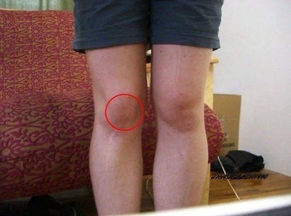 o , o        o  o o.