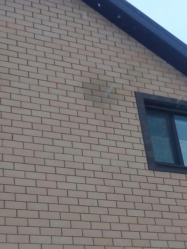 ,     ?    .  ... - 2