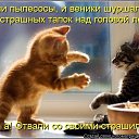 ���� ������, �����-���������, 67 ��� - ��������� 29 ������� 2020 � ������ ������ ��������