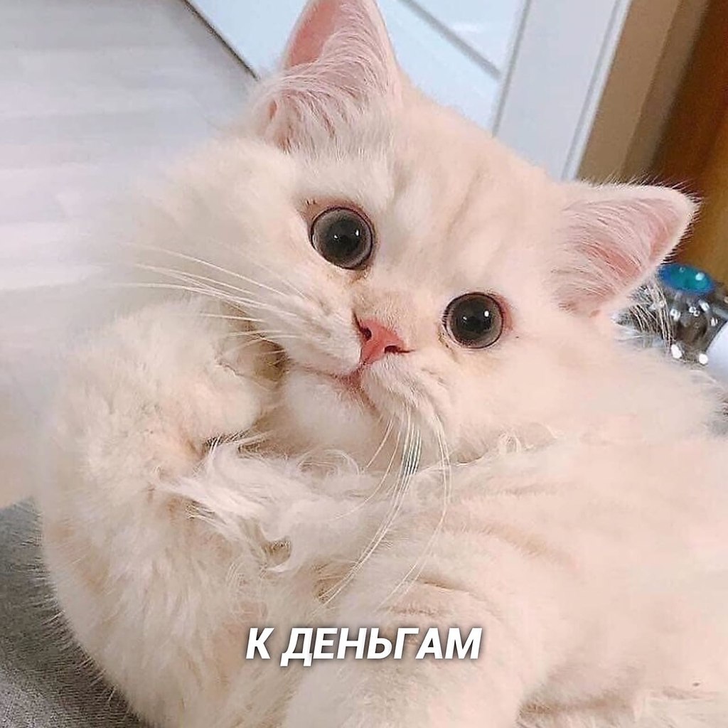         - 6
